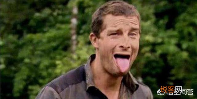 还记得“站在食物链顶端”的贝爷吗？当年爆红,为何突然不见了？