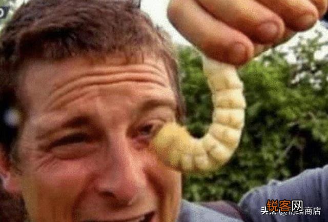 还记得“站在食物链顶端”的贝爷吗？当年爆红,为何突然不见了？