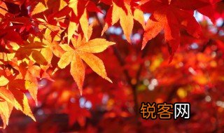 出伏是什么意思 出伏的意思