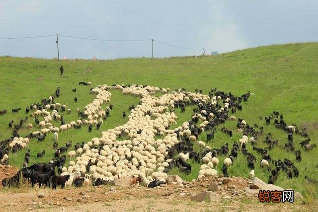 在内蒙,男女同住一个帐篷里的女性,应该怎样保护自己的隐私？