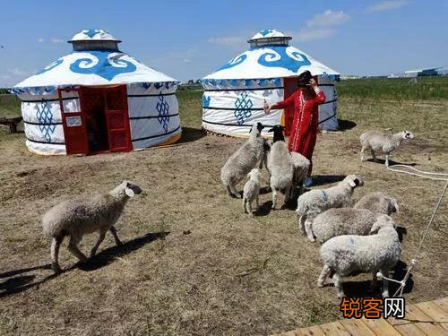 在内蒙,男女同住一个帐篷里的女性,应该怎样保护自己的隐私？