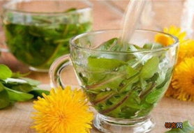 女人一周喝几次蒲公英茶好呀