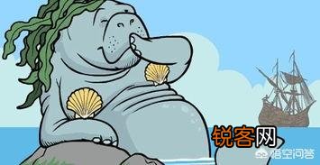 你知道哪些冷知识？