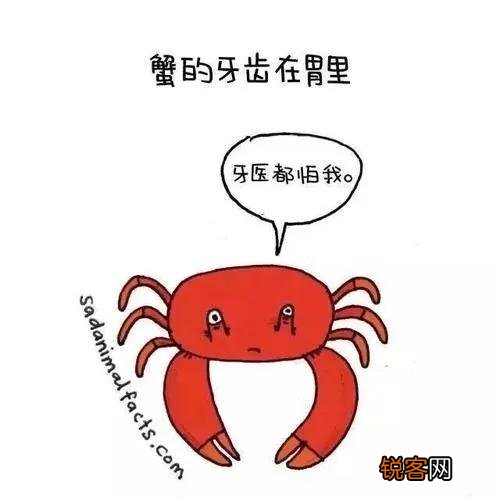 你知道哪些冷知识？
