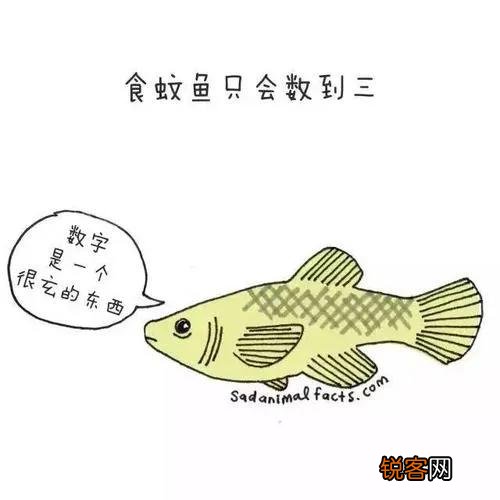 你知道哪些冷知识？