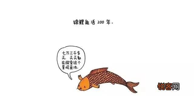 你知道哪些冷知识？