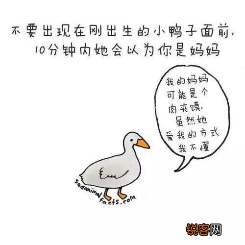 你知道哪些冷知识？