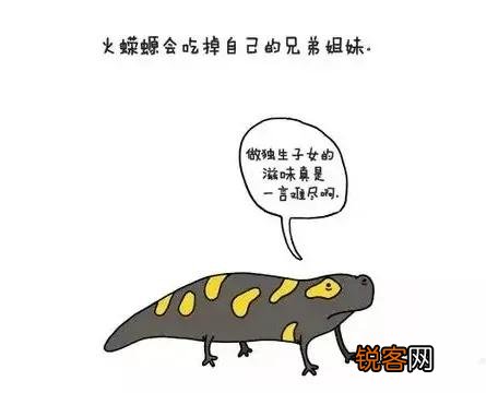 你知道哪些冷知识？