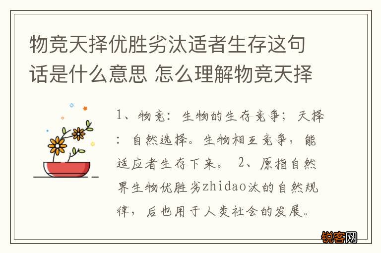物竞天择优胜劣汰适者生存这句话是什么意思 怎么理解物竞天择优胜劣汰适者生存的意思