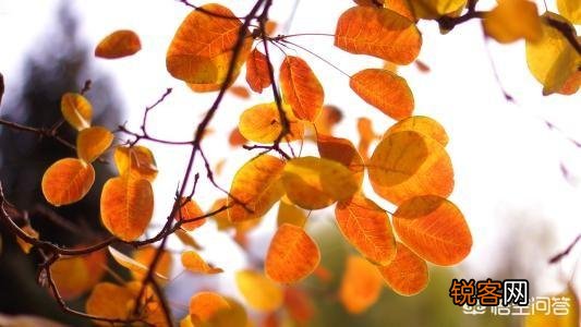 有些书被尊为世界名著,但我为什么感觉读起来索然无味呢？