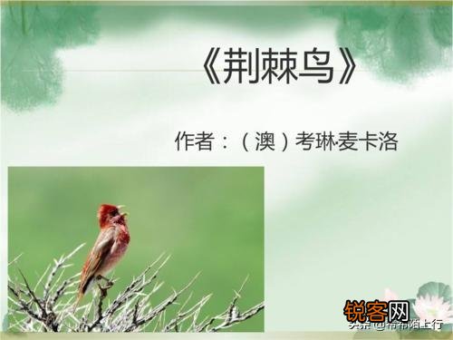 有些书被尊为世界名著,但我为什么感觉读起来索然无味呢？