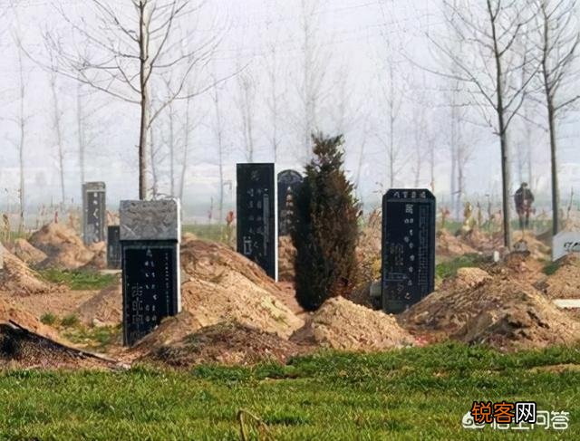 以前有那么多坟,最后都去哪了？