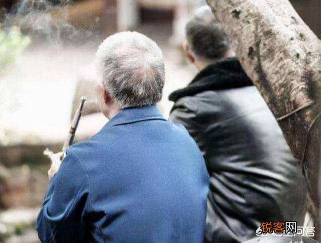 以前有那么多坟,最后都去哪了？
