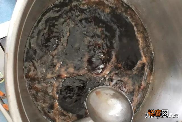 “百年老卤水”为何不变质还更香？
