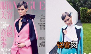 vogue是什么意思啊 vogue解释