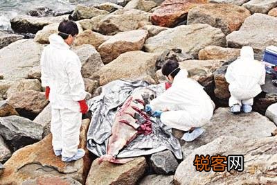 为什么人断气以后很快会有一股难闻的尸体味道？