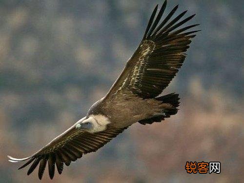 为什么人断气以后很快会有一股难闻的尸体味道？