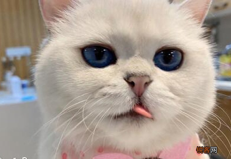 半夜怎么快速抓蚊子