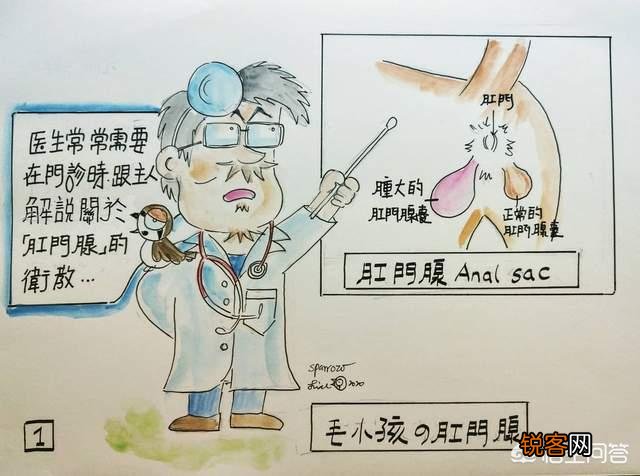 狮子为什么是十大最臭动物之一？