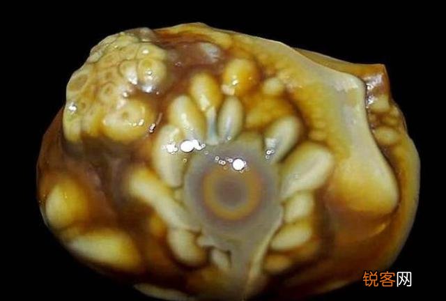 《龙岭迷窟》“摸金三人组”的红斑诅咒最终怎么解除的？他们的结局都是怎样的？