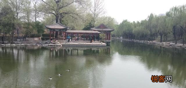 余秀华的《穿过大半个中国去睡你》能流传千古吗？