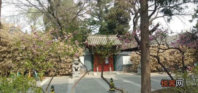 余秀华的《穿过大半个中国去睡你》能流传千古吗？