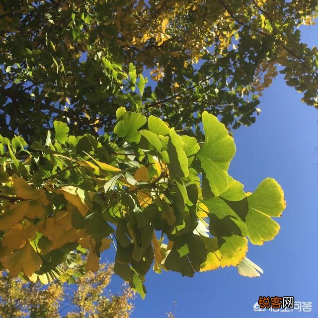 如何评价诗人余秀华？