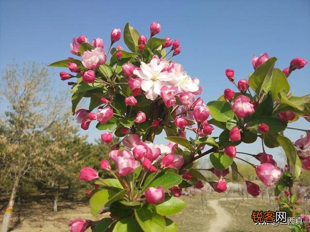 点评,解读一下,你对这首《致余秀华-一位真诚的诗人》的看法？