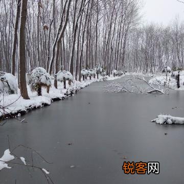 点评,解读一下,你对这首《致余秀华-一位真诚的诗人》的看法？