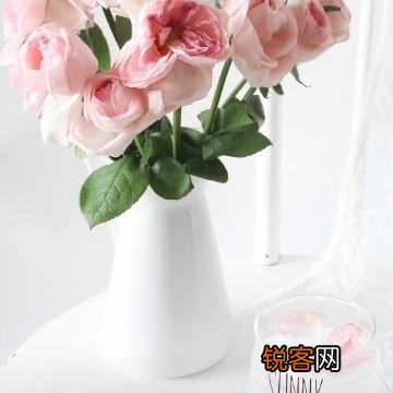 点评,解读一下,你对这首《致余秀华-一位真诚的诗人》的看法？