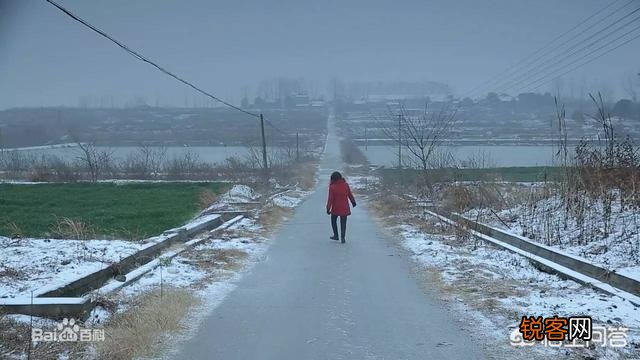 余秀华女士是一位文艺诗人吗？怎么样？