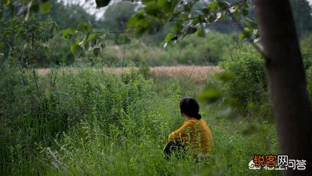 余秀华女士是一位文艺诗人吗？怎么样？