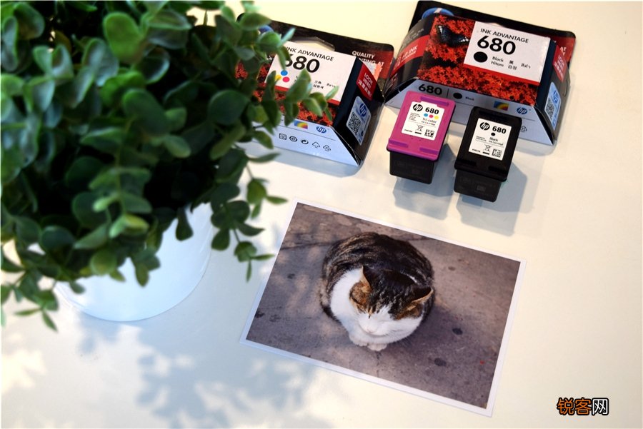 硒鼓和墨盒哪个划算 惠普原装墨盒售价一览表