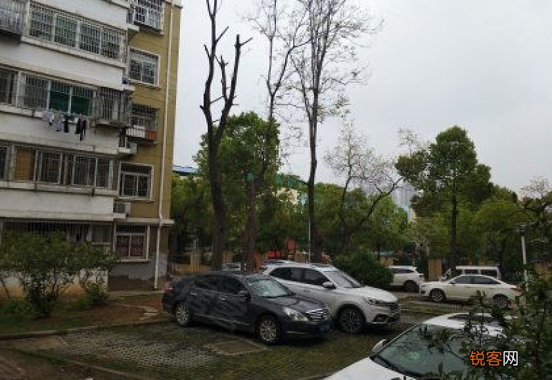 小学+中学+幼儿园 南京钟山峰景苑小区附近的学校有哪些