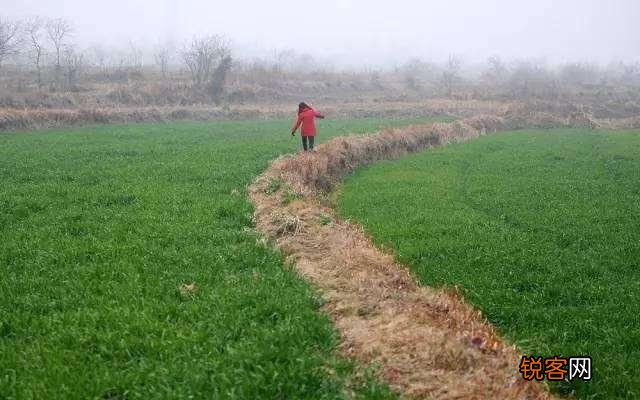 喜欢余秀华的诗吗？为什么？