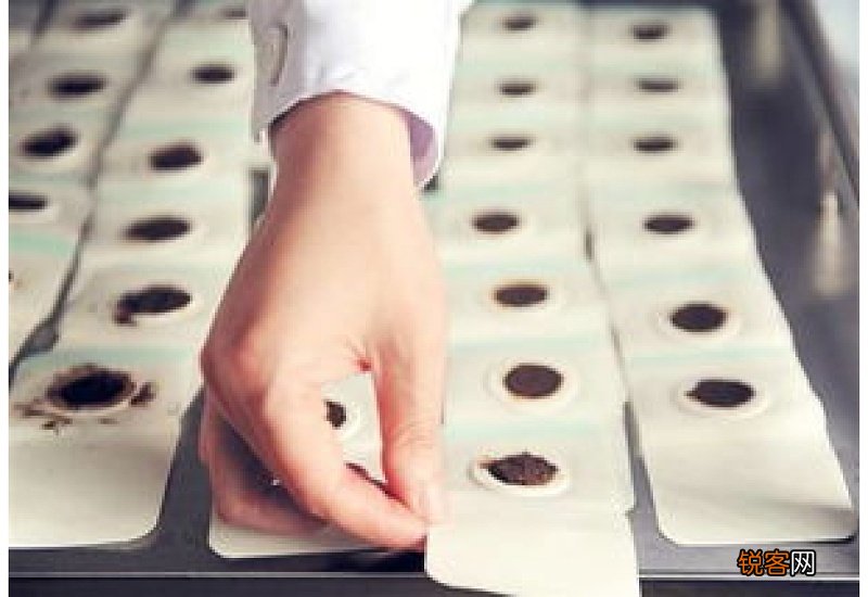 三伏贴的作用功效