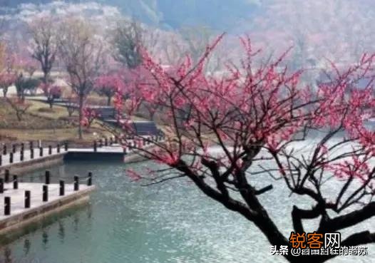 写诗,最初是发表在哪里好？比如余秀华,不是公众号？