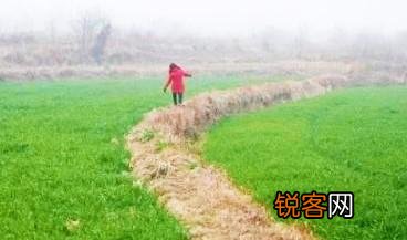余秀华的诗,你最喜欢哪一首？