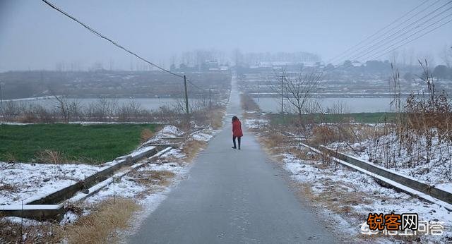 余秀华的诗水平如何？她属于真正意义上的诗人吗？