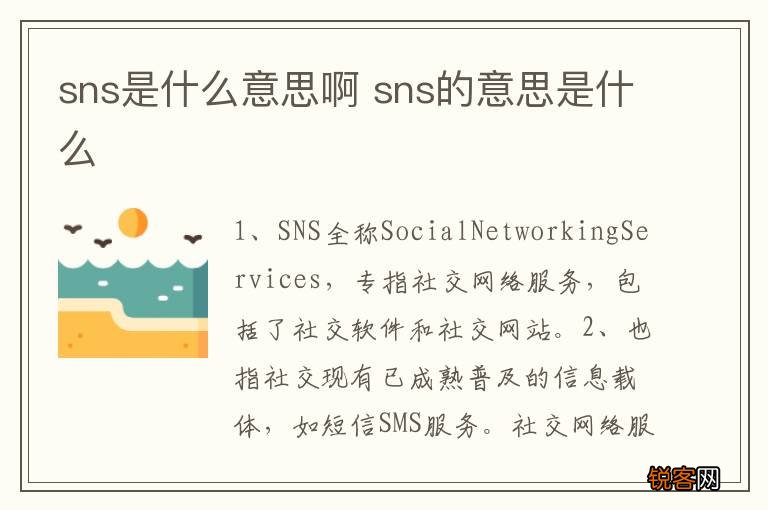 sns是什么意思啊 sns的意思是什么