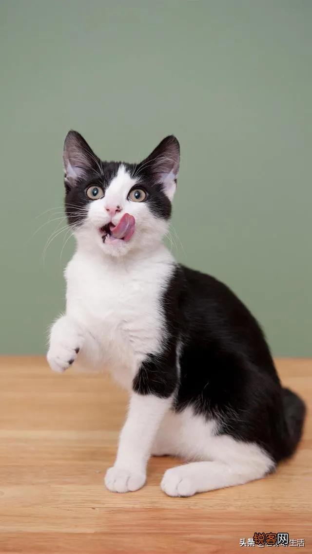 还记得小时候那些难忘的动画片吗？