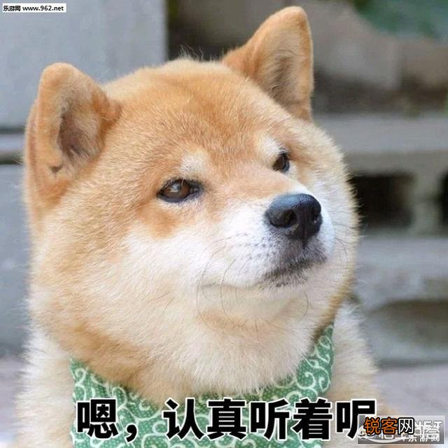 两只高加索会比老虎厉害吗？