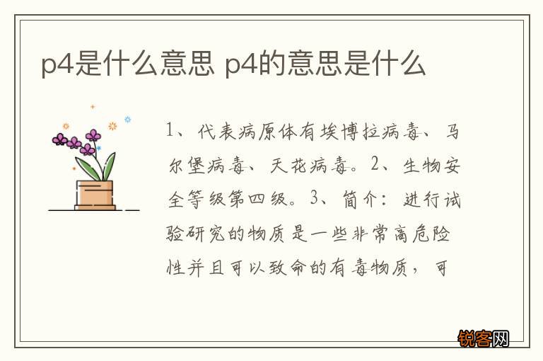 p4是什么意思 p4的意思是什么