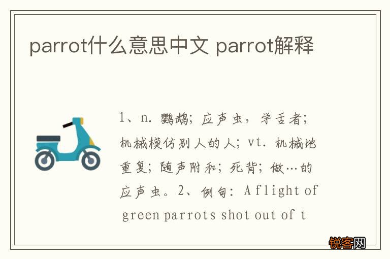 parrot什么意思中文 parrot解释