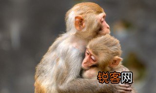 依偎的意思是什么 依偎的出处