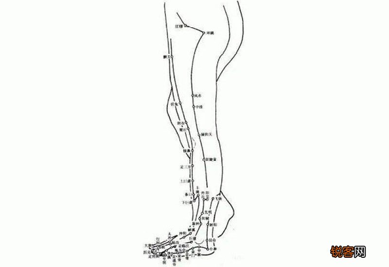 三伏天为什么要排寒湿