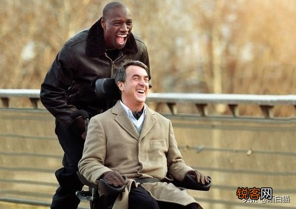 哪些值得看的好电影被很low片名毁了？