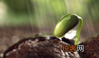 目的与意义的定义是什么它们有什么区别 目的与意义的定义以及它们的区别