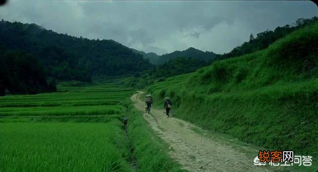 为何《那山那人那狗》当年国内票房几乎为零,在日本票房却高达8亿日元？