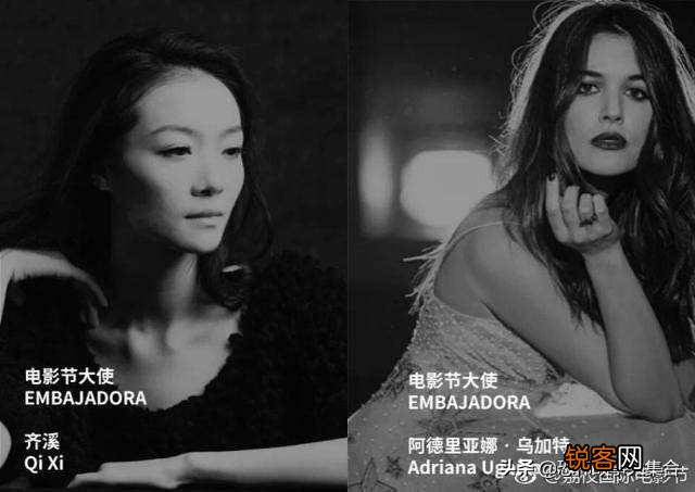 有哪些票房不高但是非常值得推荐的电影？